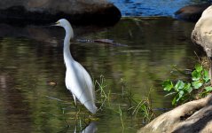 13th Sept 2015 011.JPG