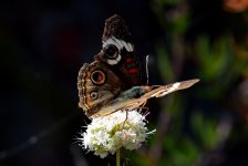 13th Sept 2015 018.JPG