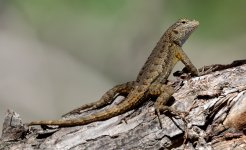 13th Sept 2015 020.JPG