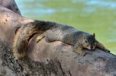 13th Sept 2015 037.JPG