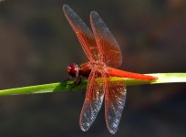 13th Sept 2015 043.JPG