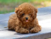 13th Sept 2015 046.JPG