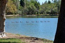 13th Sept 2015 049.JPG