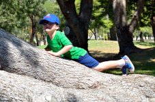 13th Sept 2015 059.JPG