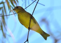 13th Sept 2015 074.JPG