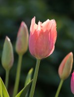 untitled-1-437.jpg