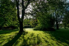 DSC_0304.jpg