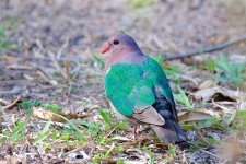 DSC_1872.jpg