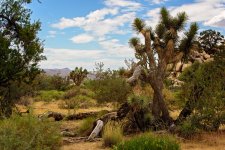 Off the Trail 1.jpg
