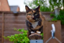 DSC_0034.jpg