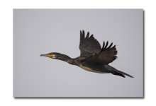 DSC_2557.jpg