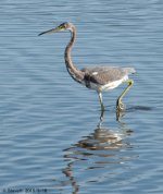 _DSC2585.jpg