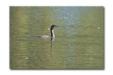 DSC_3060.jpg