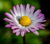 untitled-1-466.jpg