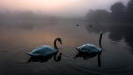 DSC_5291.jpg