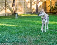 Kira.6 -3.jpg