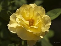 _AAA6332 - Version 2.jpg