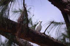DSC_2317.jpg
