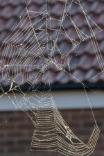_DSC1721.jpg