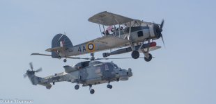 DSC_0230.jpg