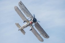 s19.jpg