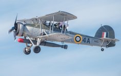 s20.jpg