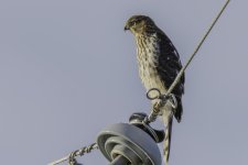 IVA_4648-Edit.jpg