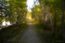 sentier.jpg
