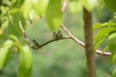 DSC_2323.jpg