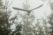IVA_4637.jpg