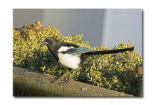 DSC_3662.jpg