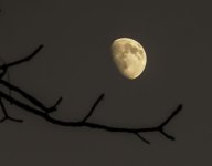 _DSC9794-Edit.jpg