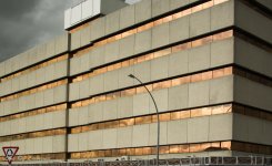 golden reflection-9819.jpg