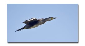 DSC_3260.jpg