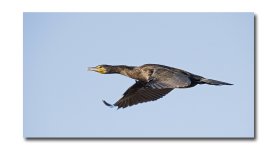 DSC_3141.jpg