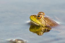 20150924-DSC_2303.jpg