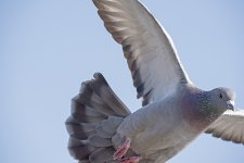 DSC_3400.jpg