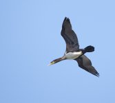DSC_3394.jpg
