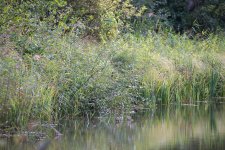 DSC_4101.jpg