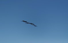 DSC_0025_DxO.jpg