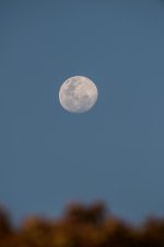 untitled-1-469.jpg