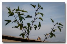 saturday-evening-shots-ype-3.jpg