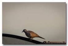saturday-evening-shots-ype-5.jpg