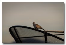 saturday-evening-shots-ype-7.jpg