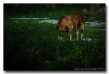 saturday-evening-shots-ype-10.jpg