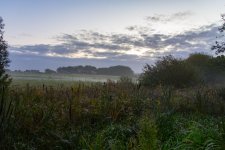 DSC_0434.jpg