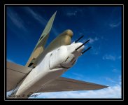 W_DSC_3724.jpg