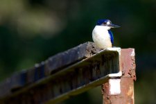 DSC_2194.jpg