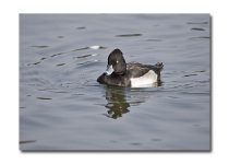 DSC_3560.jpg