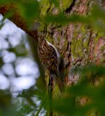 DSC_0011.jpg